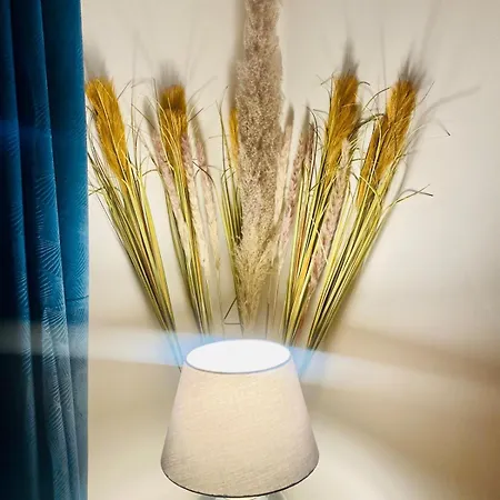 Lägenhet Ici, Dort Un Gorille Planay