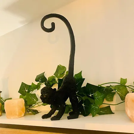 Ici, Dort Un Gorille Lägenhet